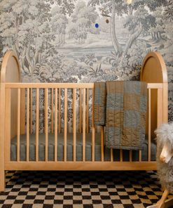 Bondi Cane 3-in-1 Convertible Crib with Toddler Bed Conversion Kit